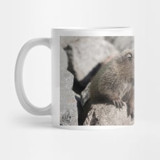 Baby marmot in Mount Rainier National Park Mug